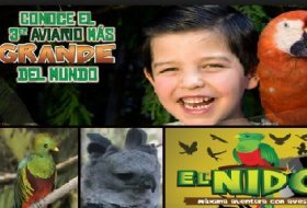 Visita en familia: El Nido. El Nido. Actividades para niños. Planes para niños. Zona Metropolitana Ixtapaluca